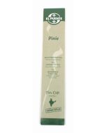 Räucherstäbchen "Pinie"