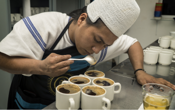 Kaffeekooperativen Kolumbien