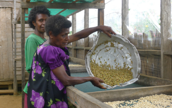 Kaffeekooperativen Papua-Neuguinea