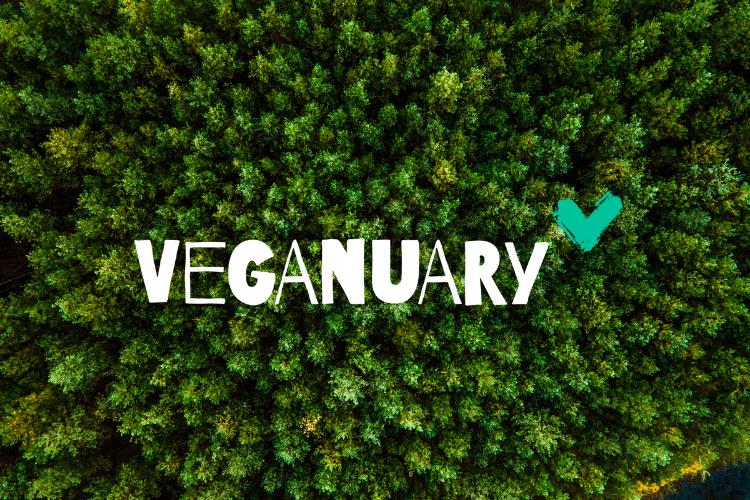 El Puente Fairer Handel und Veganuary