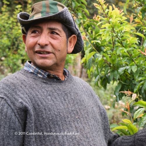 El_Puente_erfahrener_Kaffeebauer_von_Combrifol_aus_Honduras.jpg